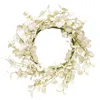 Homegifo Foamy Silver Dollar Wreath Cream 20"