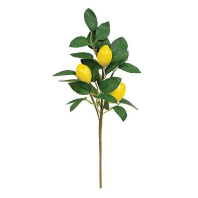 Homegifo Fresh Picked Lemon Spray In Multi