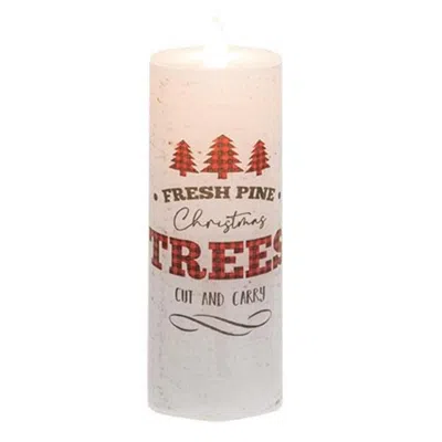 Homegifo Fresh Pine Trees Tall Timer Votive In White