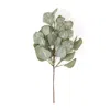 Homegifo Frosted Dollar Eucalyptus Leaf Spray 19"