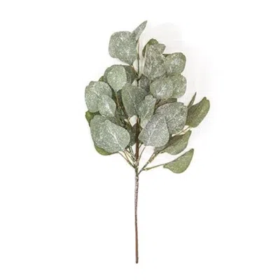 Homegifo Frosted Dollar Eucalyptus Leaf Spray 19" In Green