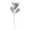 Homegifo *frosted Lamb's Ear Pick