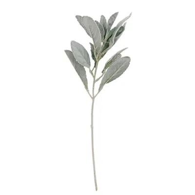 Homegifo *frosted Lamb's Ear Pick In Gray