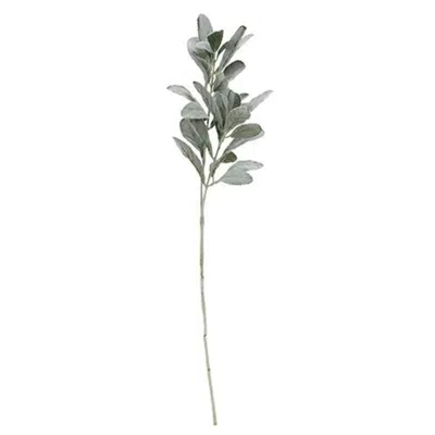 Homegifo *frosted Lamb's Ear Spray In Green