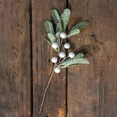 Homegifo Frosted Mistletoe Pick In White