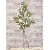 Homegifo Frosted Mistletoe Spray 22"