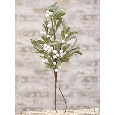 Homegifo Frosted Mistletoe Spray 22" In Green