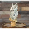 Homegifo *frosty Cedar Tree 10"