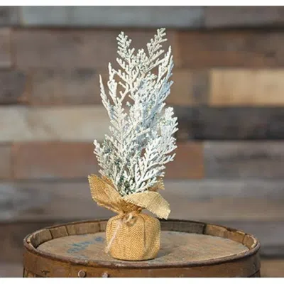Homegifo *frosty Cedar Tree 10" In Blue