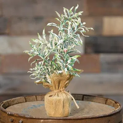 Homegifo *frosty Herb Tree 10" In Green