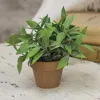 Homegifo Gatehouse Herb Pot #3 6"