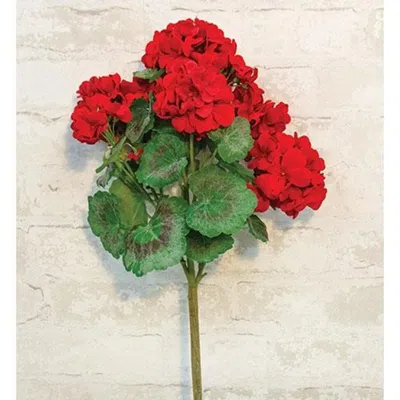 Homegifo Geranium Bush 18" Red