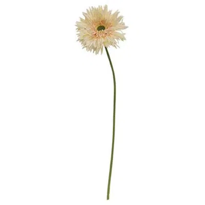 Homegifo *gerbera Daisy Stem Cream Pink In Brown