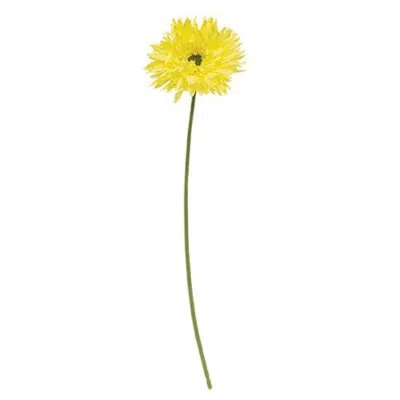 Homegifo *gerbera Daisy Stem Lemon Yellow