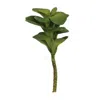 Homegifo Ginger Succulent Pick
