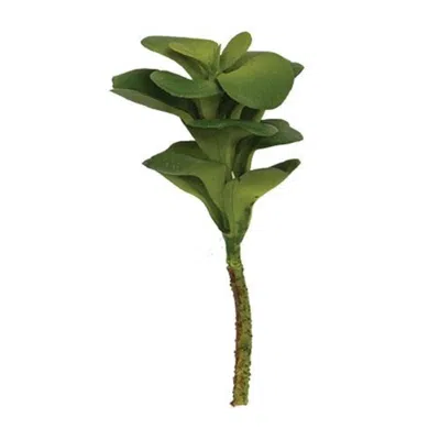 Homegifo Ginger Succulent Pick In Green