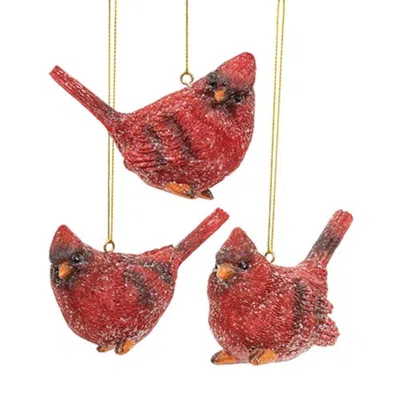 Homegifo Glittered Resin Sitting Cardinal Ornament 3 Asstd. In Red
