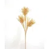 Homegifo Grassy Bottle Brush Spray 24"