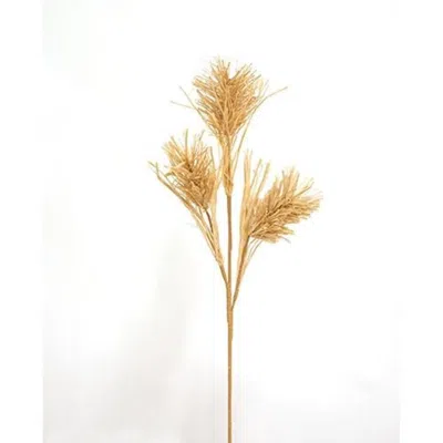 Homegifo Grassy Bottle Brush Spray 24" In Gold