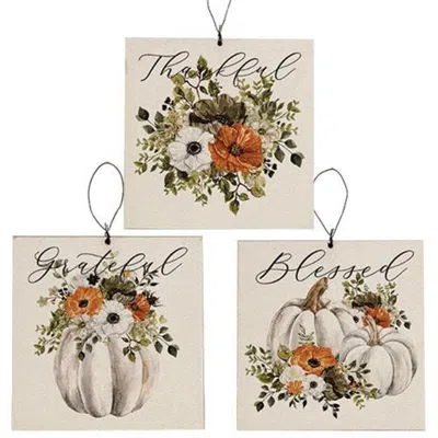 Homegifo Grateful Thankful Blessed Pumpkin Square Ornament 3 Asstd. In Multi