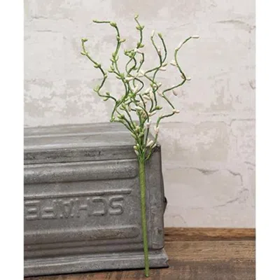 Homegifo Green Fields Pip Berry Pick 12"