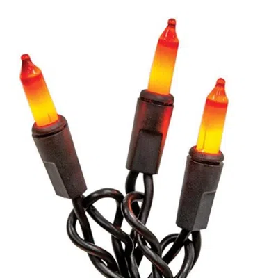 Homegifo *halloween Bright Lights 20 Ct. In Brown