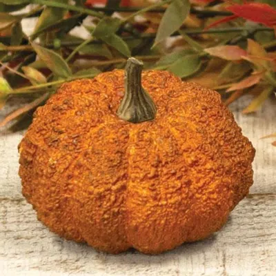 Homegifo Hallows Pumpkin 3" In Blue