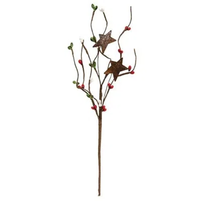 Homegifo Holiday Combo Pip & Star Pick 12" In Brown