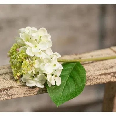 Homegifo Hydrangea Pick 9" Cream In Multi