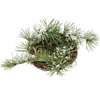 Homegifo *icy Pine & Moss Bird Nest