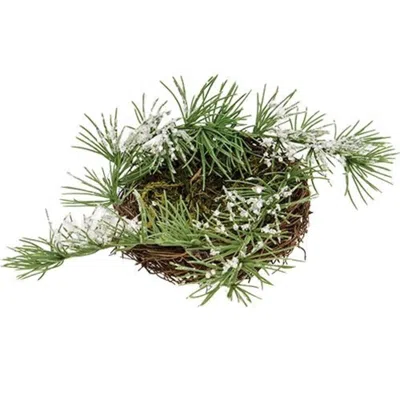 Homegifo *icy Pine & Moss Bird Nest In Green