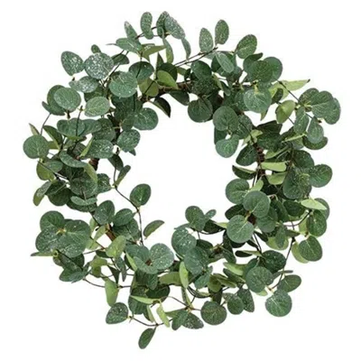 Homegifo Icy Silver Dollar Leaves Wreath 20" In Green