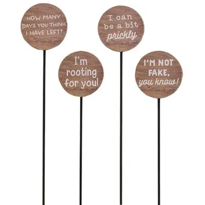 Homegifo I'm Rooting For You Houseplant Poke 4 Asstd. In Brown