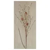Homegifo Ivory Pip & Star Spray 24"