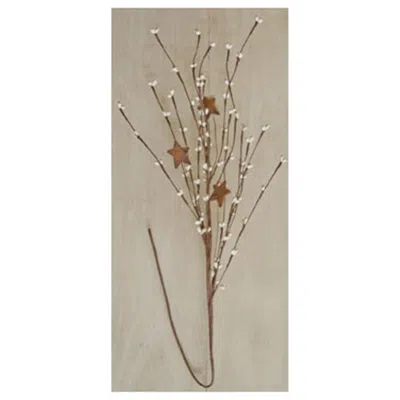 Homegifo Ivory Pip & Star Spray 24" In Brown