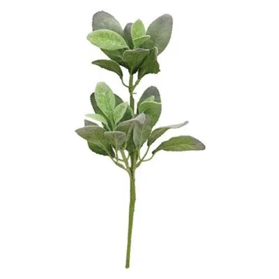 Homegifo *lamb's Ear Pick In Green