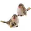 Homegifo Large Resin Finch 2 Asstd.
