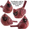 Homegifo Large Resin Red Cardinal 4 Asstd.