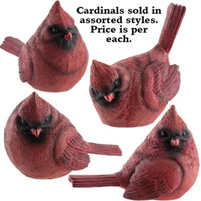 Homegifo Large Resin Red Cardinal 4 Asstd. In Animal Print