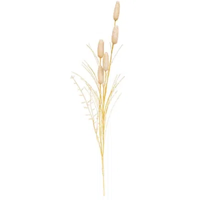 Homegifo Late Summer Bunny Tail & Dried Grass Spray In Neutral