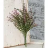Homegifo Lavender Asparagus Bush 13"