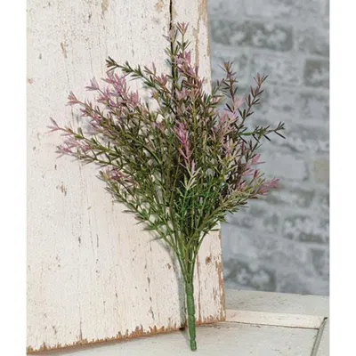Homegifo Lavender Asparagus Bush 13" In Multi