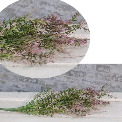 Homegifo Lavender Asparagus Bush 23" In Multi