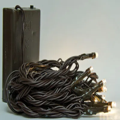 Homegifo Led Battery Twinkle Lights Brown Cord 20ct