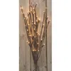 Homegifo Led Lighted Branch - Battery - 19-3/4"