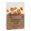 Homegifo Led Timer Jack O Lantern Lights 15ct