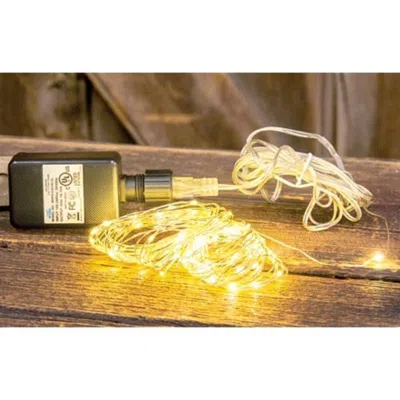 Homegifo Led Warm White Bud Lights 100ct In Blue