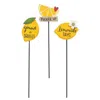Homegifo Lemon Plant Poke 3 Asstd.