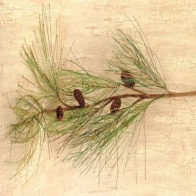 Homegifo Long Needle Pine Spray - 28" In Green