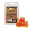 Homegifo Maple Pumpkin Donut Scent Cubes